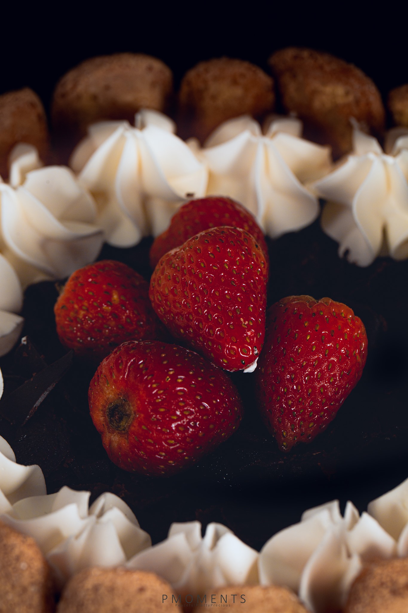 186558431_3968686953219053_6931365742948645392_n