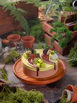 Avocado Chocolate Mousse Cake